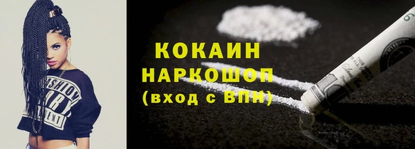 шишки Богородицк