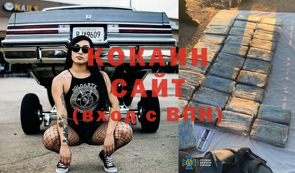 шишки Богородицк