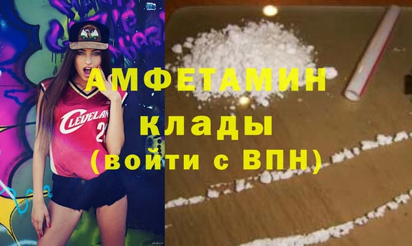 шишки Богородицк