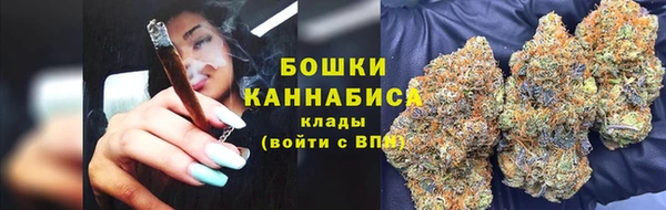 стафф Богданович